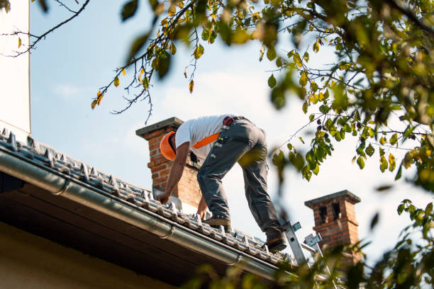 Best Hot Roofs  in Nellysford, VA